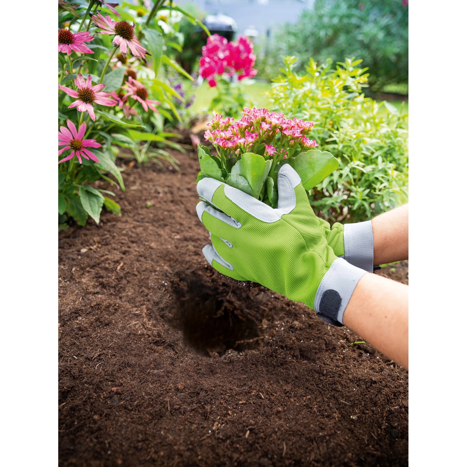 Guanti da giardino verde-grigi taglia 8 mentre piantano un fiore in un'aiuola.