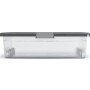Contenitore t.b.t. trasparente con coperchio grigio per lo stoccaggio.