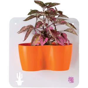 Vaso da fiori a parete con pianta, vaso arancione su supporto bianco. Accessorio per piante.