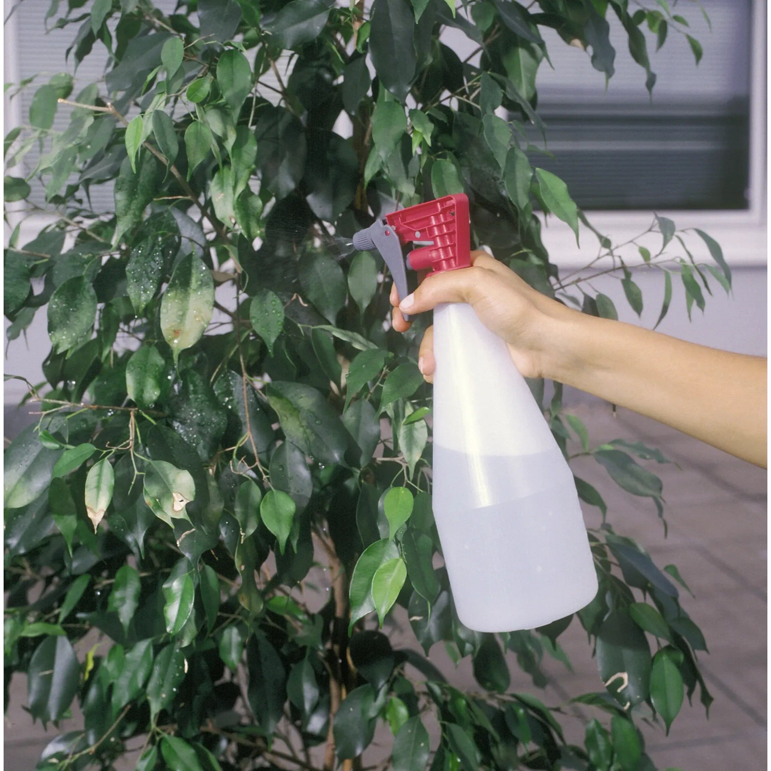 Relaxdays Set da 2 Spruzzini Nebulizzatori,1 L, Bottiglietta Spray Ricaricabile, Piante e Fiori, Plastica, Grigio Nero