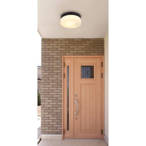 Plafoniera da esterno Globo nera e rotonda in alluminio e vetro, montata a soffitto all'esterno.