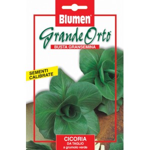 Confezione di semi per t.b.t. della categoria Semi da orto.