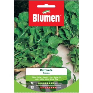 Confezione di semi di rucola Blumen, insalata fresca per l'orto.