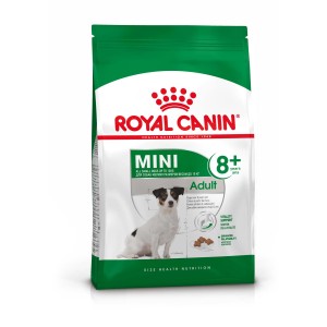Royal Canin Mini Adult 8+ cibo secco per cani di piccola taglia dagli 8 anni in su.