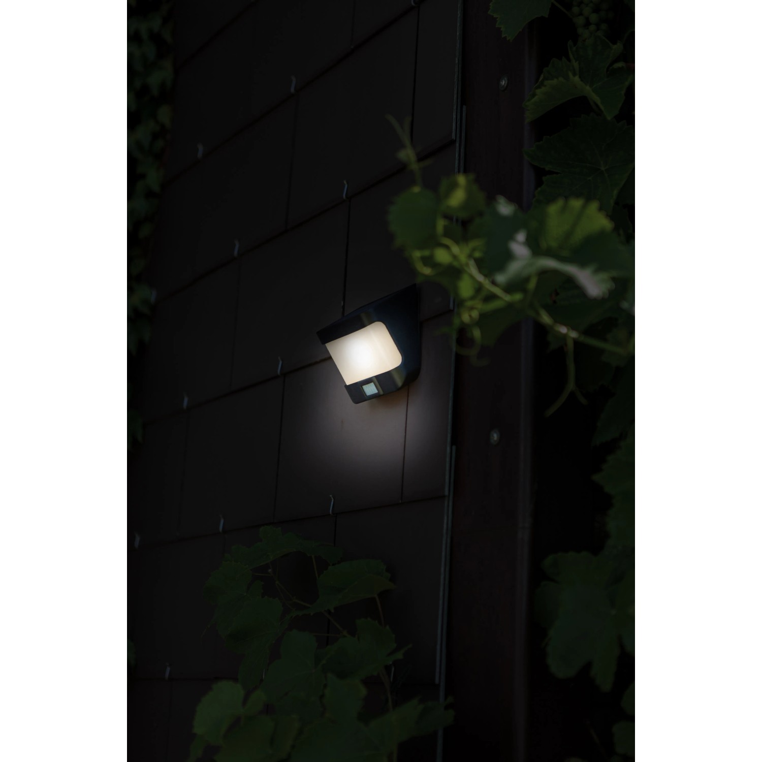 Lutec LED solare da parete Try, nero opaco, con sensore di movimento. Luce da esterno per il giardino.