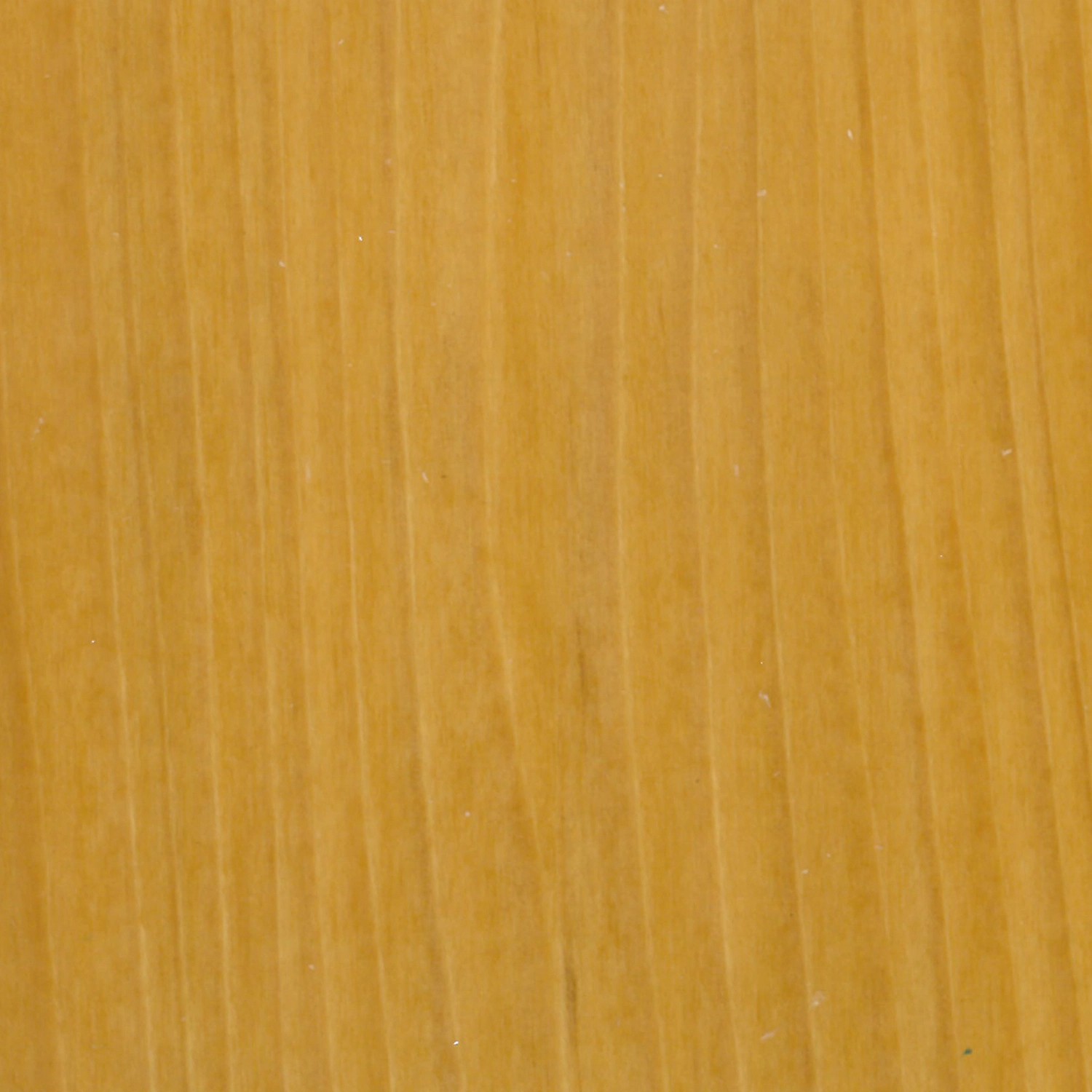 Primo piano di legno chiaro non trattato, adatto per l'uso con impregnanti per legno.