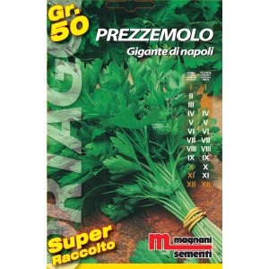 Confezione di semi di prezzemolo 'Gigante di Napoli', ideale per coltivare ortaggi nel proprio giardino.