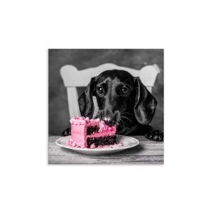 Canvas 30x30 cm dachshund