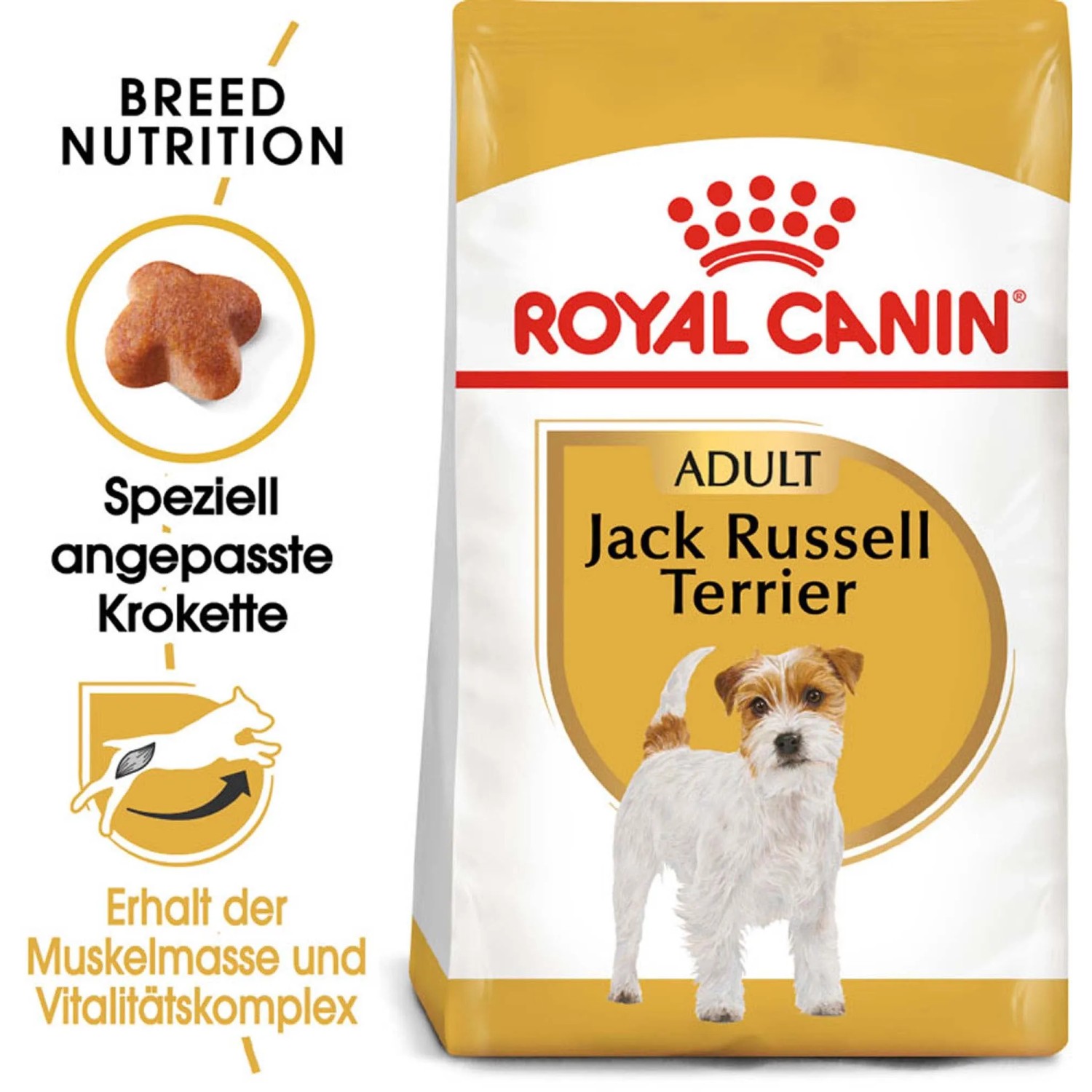 Royal Canin Jack Russell Adult cibo secco per cani, confezione da 1,5 kg