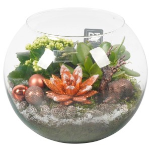 t.b.t. Composizione di piante in vetro con cervo decorativo, palline e piante.