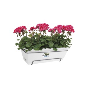 Fioriera da esterno t.b.t. bianca con gerani rossi.