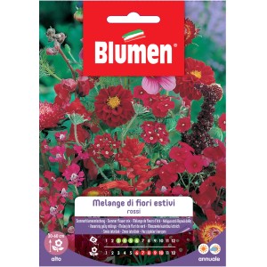 Sementi per fiori 't.b.t.' per una miscela di fiori rossi in giardino.