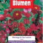 Sementi per fiori 't.b.t.' per una miscela di fiori rossi in giardino.