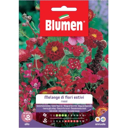 Semi Blumen Melange di fiori estivi rossi