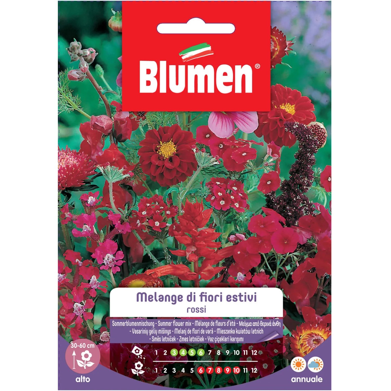 Sementi per fiori 't.b.t.' per una miscela di fiori rossi in giardino.