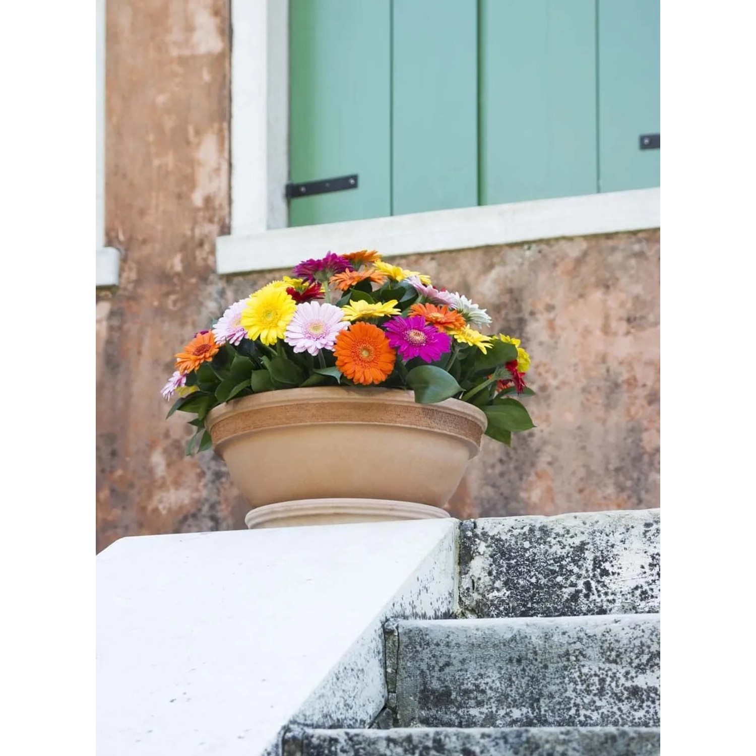 Ciotola in terracotta bordata graffiata ø 21 cm_2