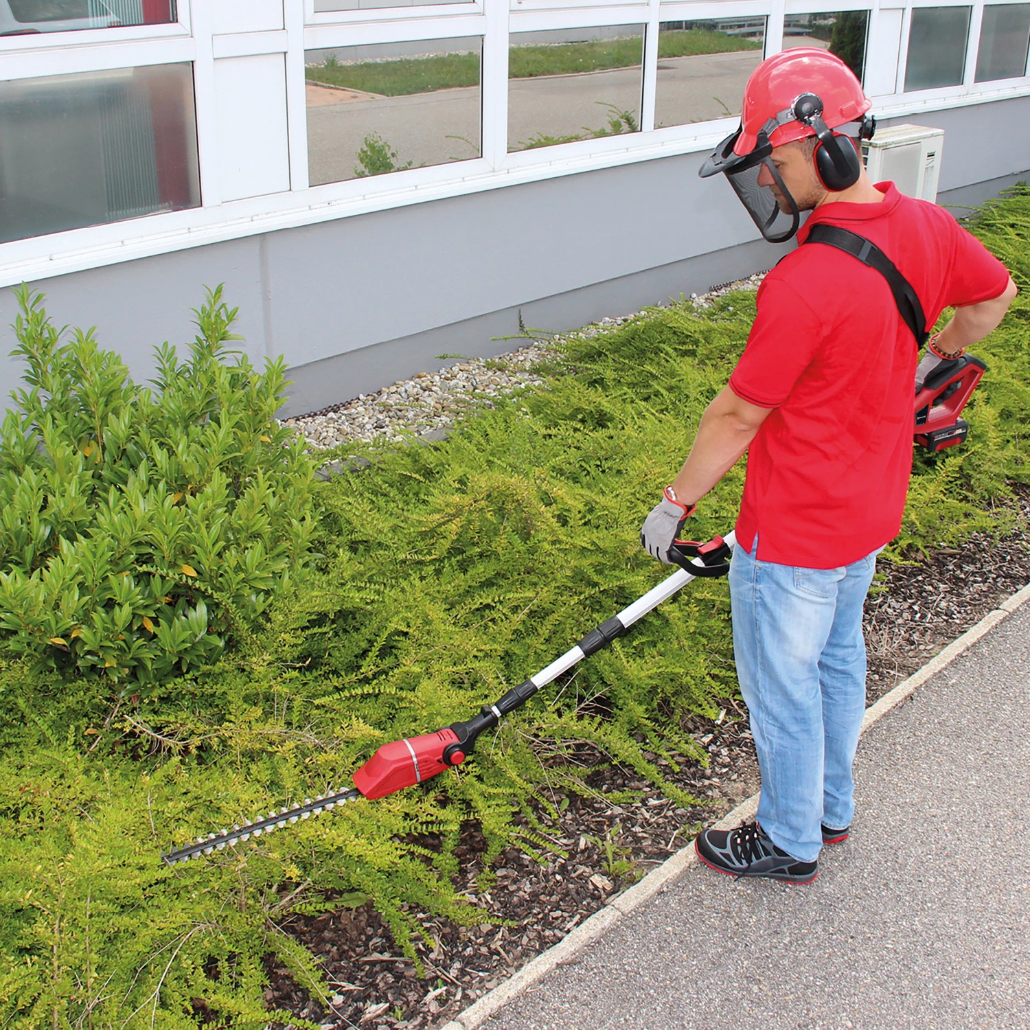 Tagliasiepi telescopico a batteria Einhell Power X-Change GE-HC 18 Li T Solo in uso. Ideale per siepi alte.