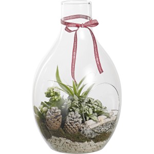 t.b.t. Composizione di piante in vetro con pigne e nastro