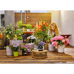 Set irrigazione solare Gardena Aqua Bloom per max 20 piante su balconi e terrazze.