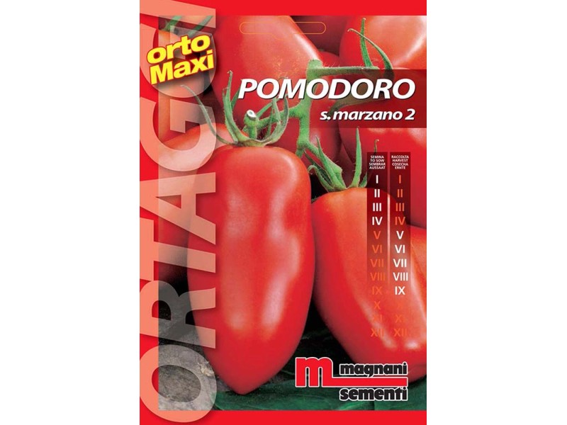 Semi orto maxi Pomodoro S Marzano 2