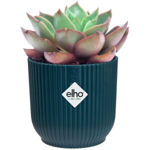 Vaso per fiori Elho Mini Vibes, Ø 7cm, Blu Profondo, con succulenta. Vasi per interni ed esterni.