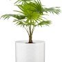 Scheurich vaso per piante 828 Panna, Ø 23 cm, in ceramica con scanalature. Ideale per interni.