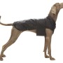 Abbigliamento per cani t.b.t. nero su un cane in piedi.