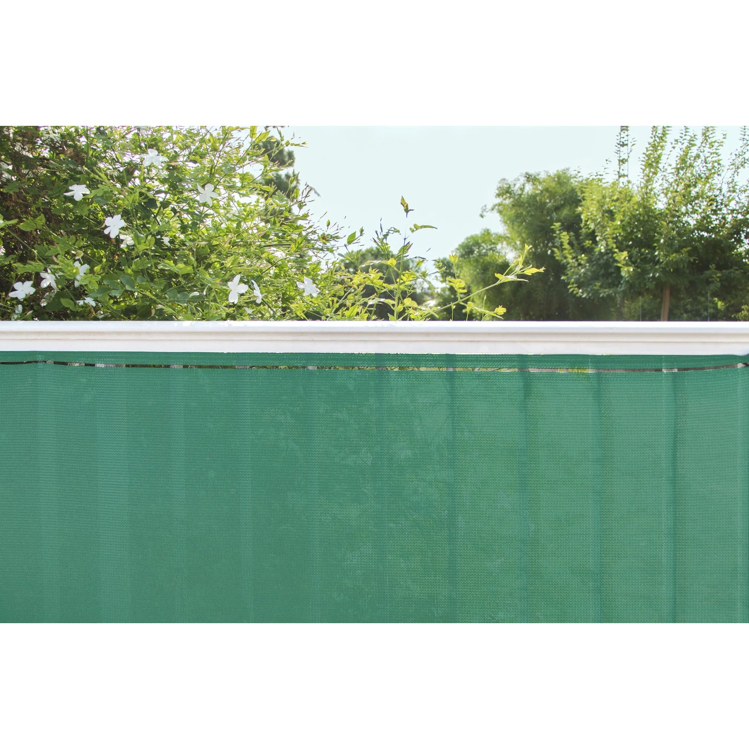 Frangivista verde t.b.t. dal negozio online OBI per giardino e balcone.