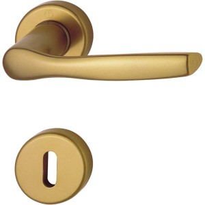 Maniglie per porte interne dorate, rosette incluse.