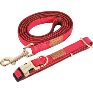 Set collare e guinzaglio per cani, rosso, con dettagli dorati.