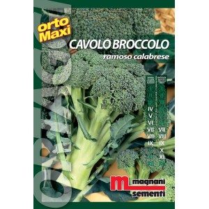 Confezione di semi di broccoli 'Ramoso Calabrese' per l'orto.