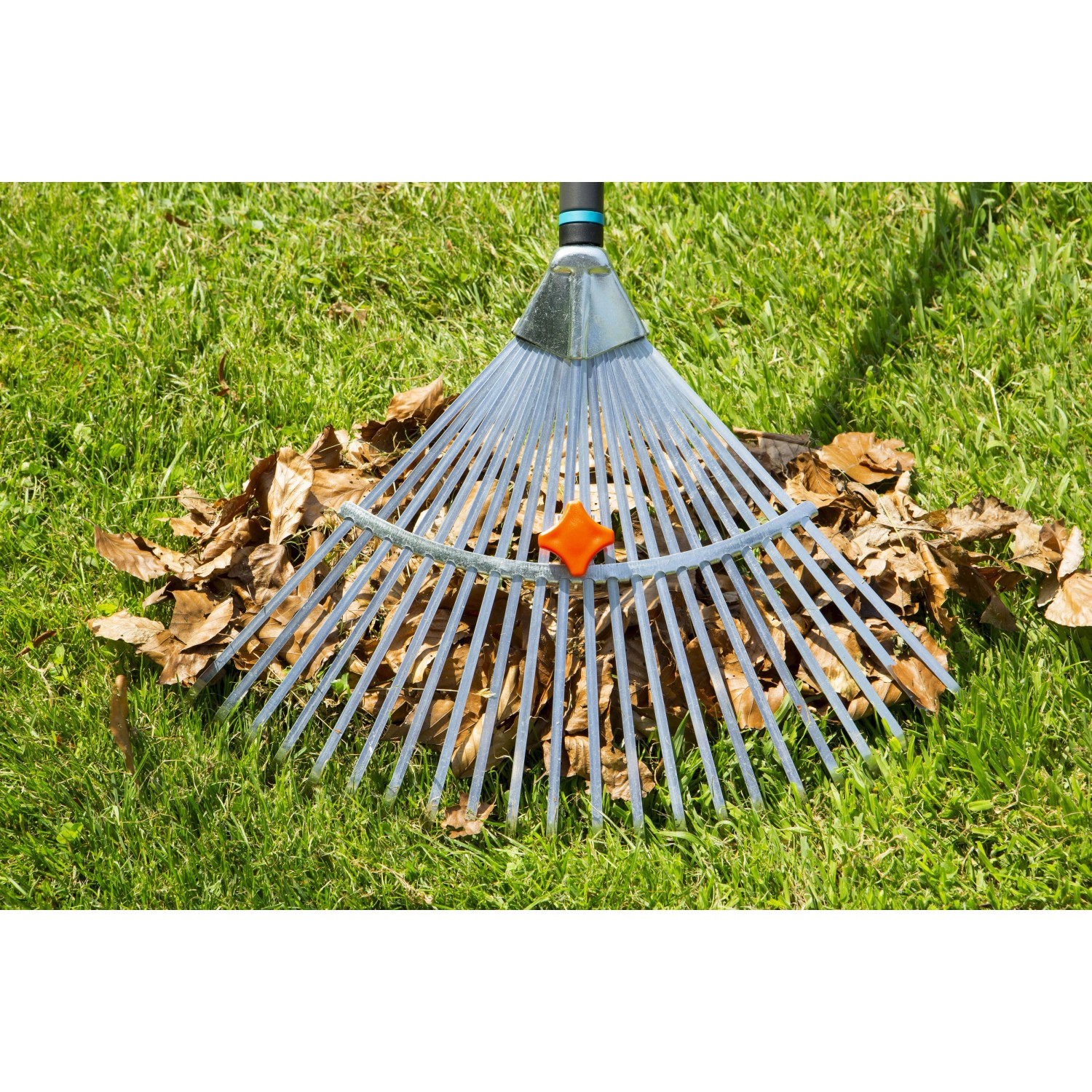 Rastrello da giardino universale con manico - 30 cm - – Garden Seeds Market