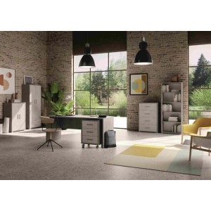 Ufficio moderno con scrivania, sedia, scaffali e decorazioni.