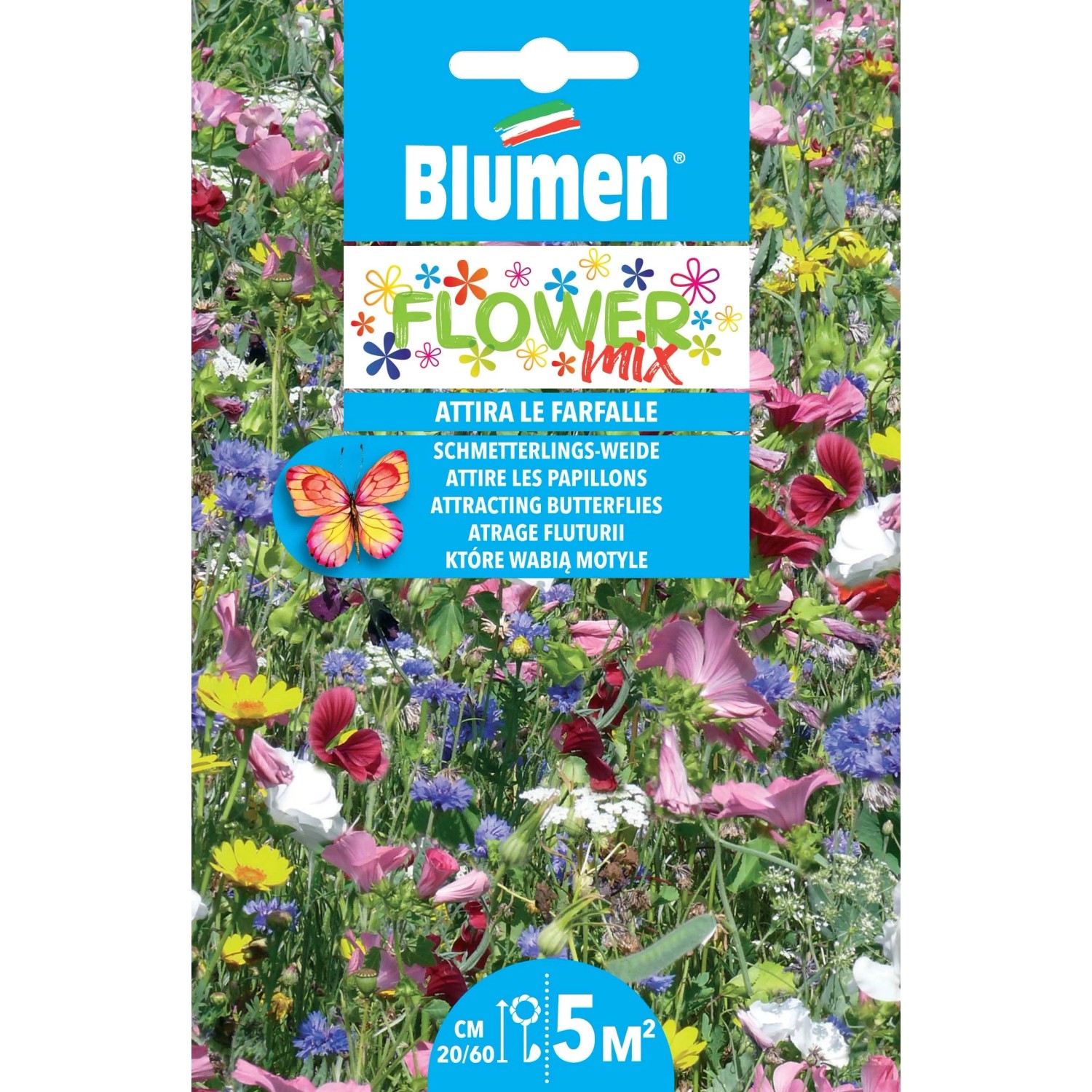 I Fiori Da Piantare Per Attirare Api E Farfalle - Donna Moderna