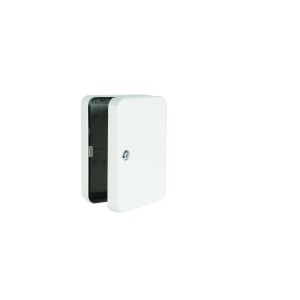 Armadietto portachiavi Burg Wächter Favor KC 48, grigio chiaro, con 48 ganci e serratura.