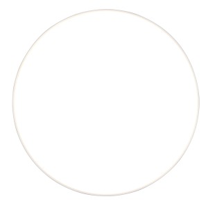 Plafoniera LED Reality Spica bianca e rotonda, diametro 27 cm. Lampada da soffitto moderna per bagno e soggiorno.