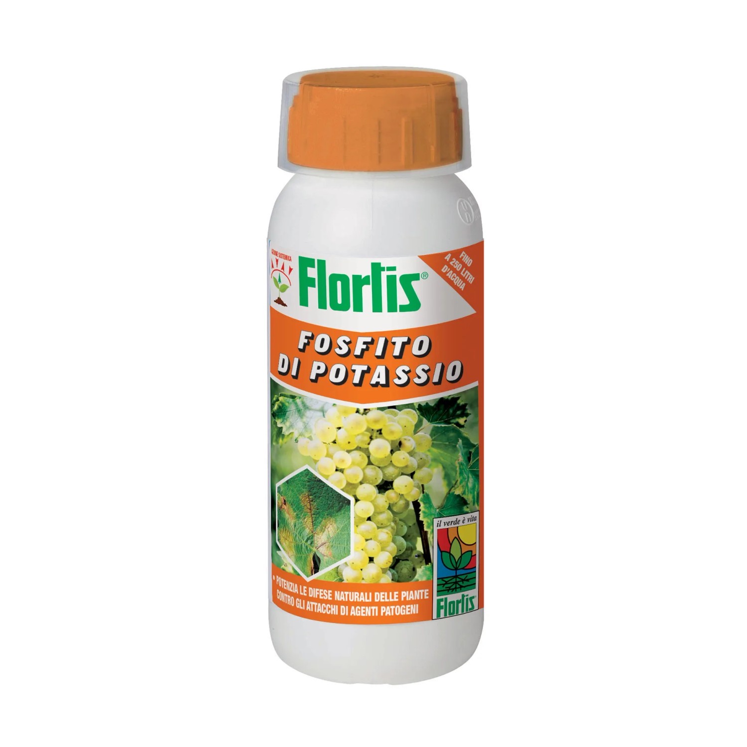 concime liquido fosforo e potassio Concime liquido a base di Fosfiti di Potassio main image 1