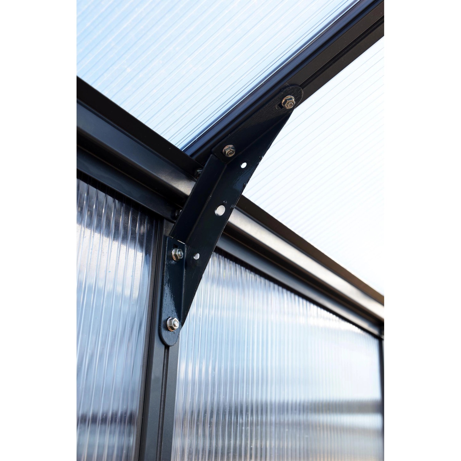 Dettaglio: Serra Palram Canopia Glory, telaio antracite, pannelli alveolari trasparenti.