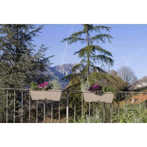 Cassetta Terrae con sottocassetta in plastica 40x20x16,7 cm beige scuro