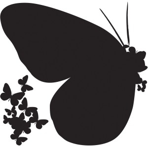 Adesivo da parete farfalla nera, decorazione per ambienti interni.