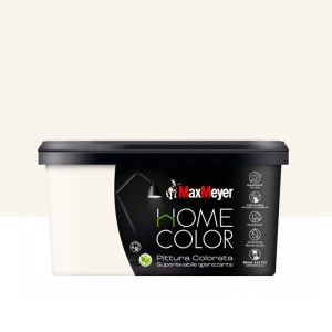 Pittura home color superlavabile igienizzante artico 2,5 l