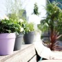 Vaso per piante Elho Loft, Ø 25 cm, antracite e viola, su balcone con piante.