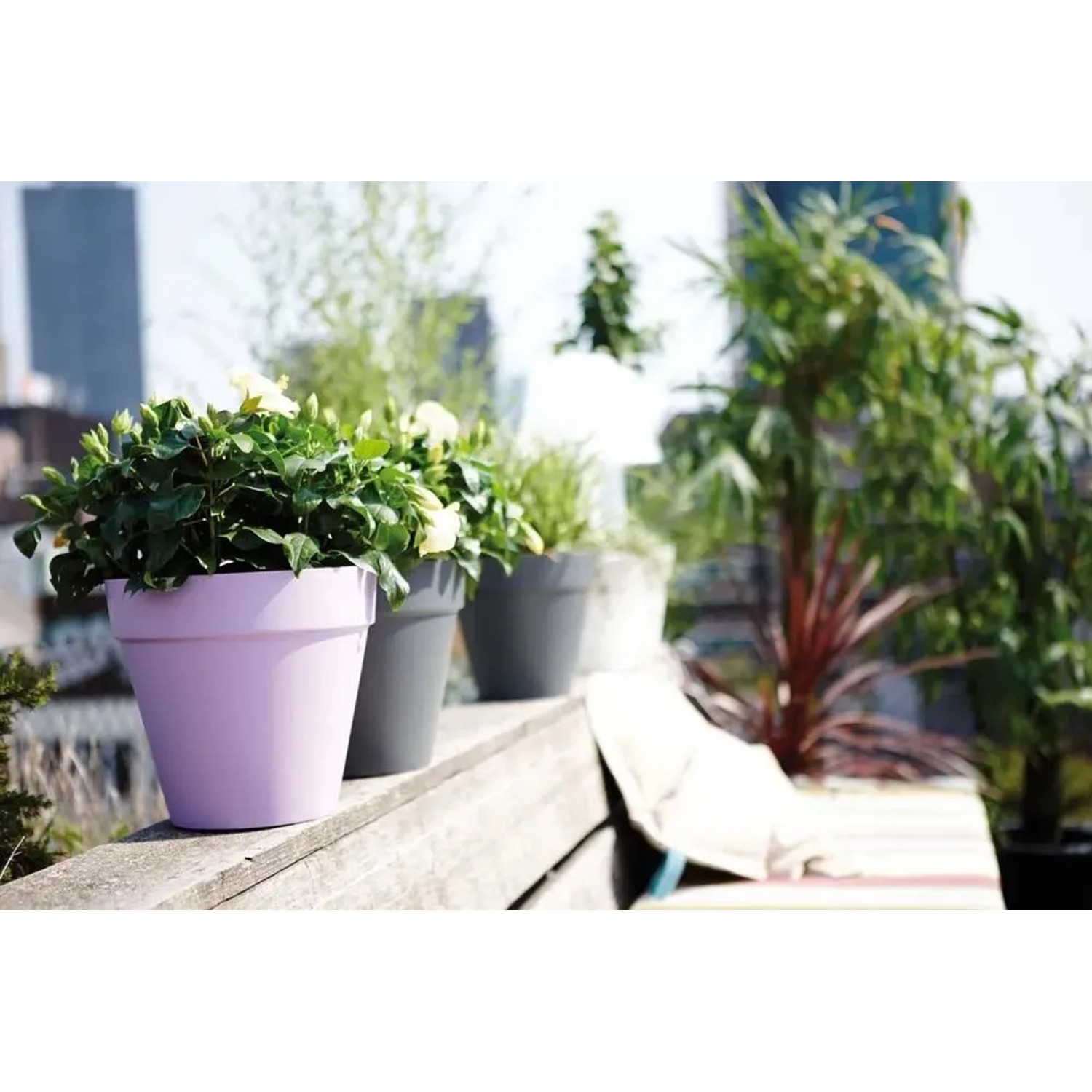 Vaso per piante Elho Loft, Ø 25 cm, antracite e viola, su balcone con piante.