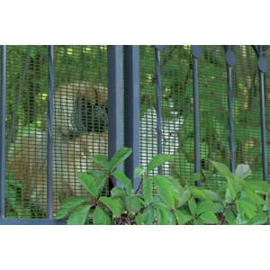 Rete plastica verde con cane e gatto dietro, parte di un'installazione di recinzione metallica.
