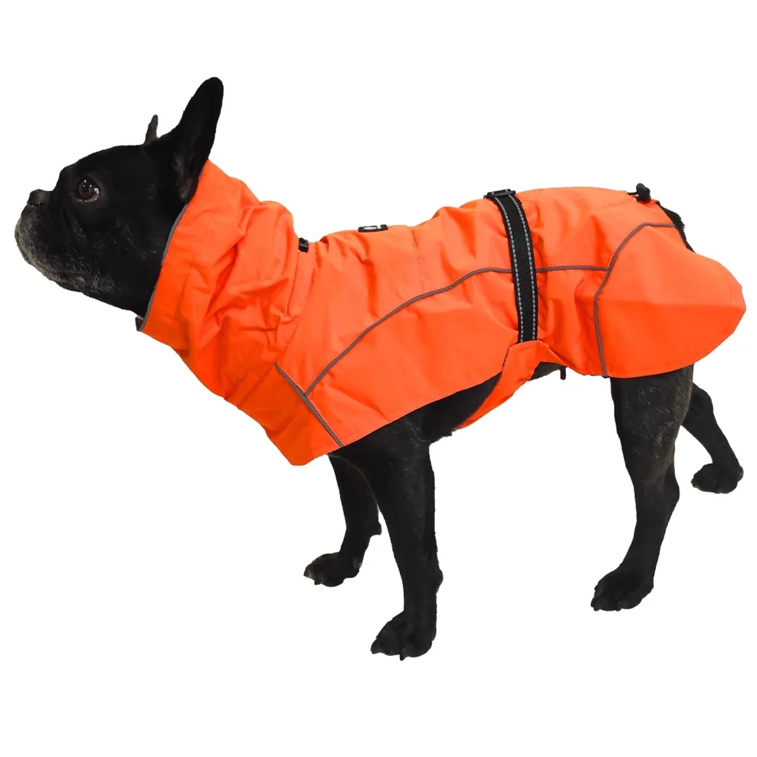 Abbigliamento per cani arancione t.b.t. con cappuccio per cani di piccola taglia.