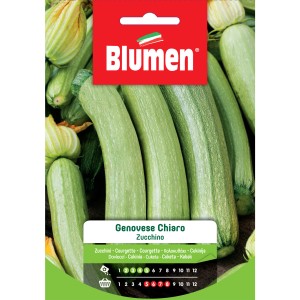 Confezione di semi di zucchine 'Genovese Chiaro' di Blumen. Ideale per coltivare ortaggi in giardino.