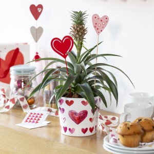 Scheurich portavaso Heartbeat, Ø 13cm, con cuori. Perfetto come regalo.