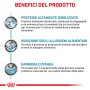 Grafica che descrive i benefici di t.b.t. cibo secco per cani: proteine, riduzione degli allergeni, barriera cutanea.