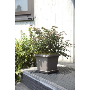 Vaso quadro Terrae 35 cm grigio fumo