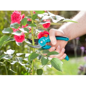 Mano taglia rosa con cesoie da giardino Gardena B/S-M. Cesoie bypass con rivestimento antiaderente.